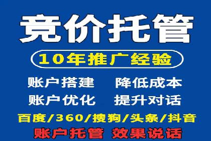百度竞价推广运营策略：成功案例解析